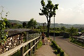 09 04502 Colle delle viti, verso Azzonica